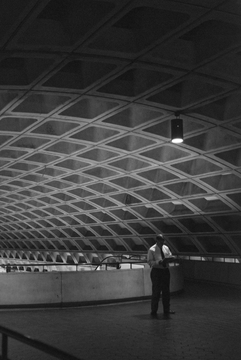 Developer and Photographer | Amber Wilkie