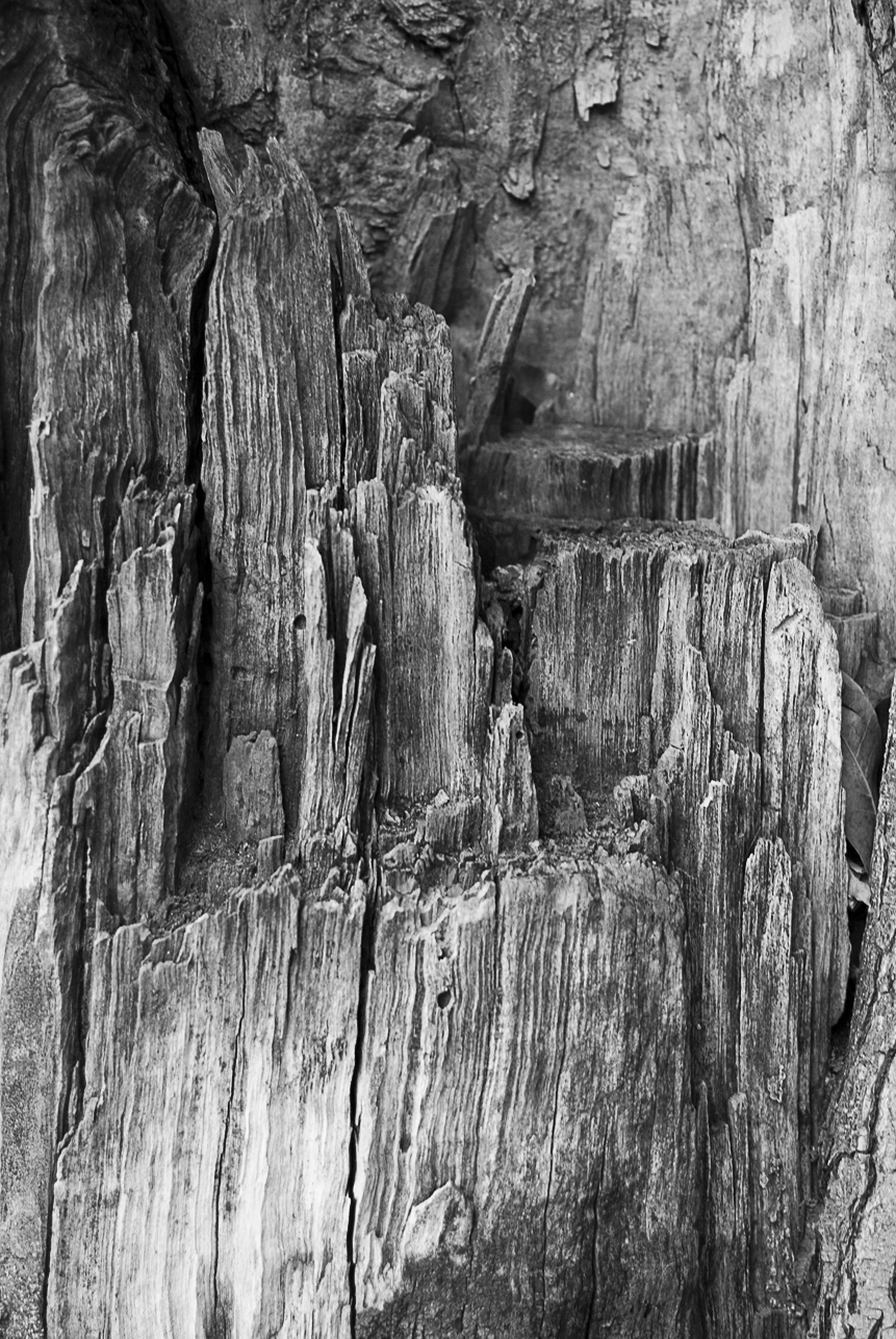 Developer and Photographer | Amber Wilkie