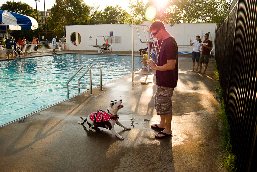 Doggie Day Swim - Old Town Alexandria