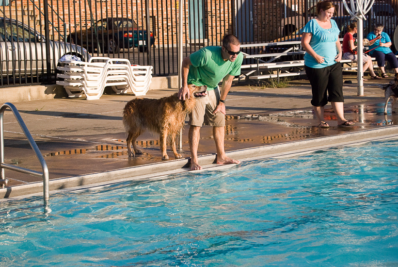 Doggie Day Swim - Old Town Alexandria
