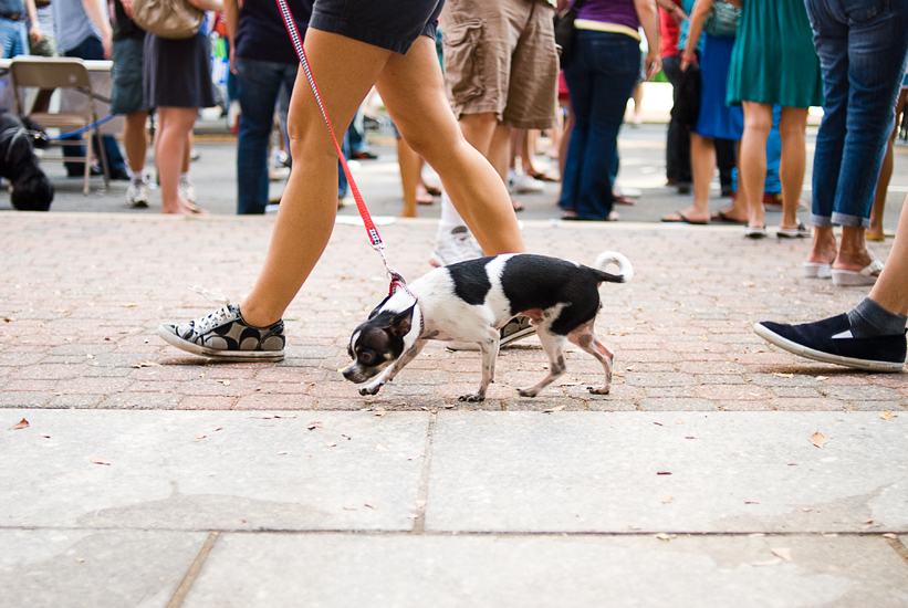 Clarendon Day - Arlington, VA