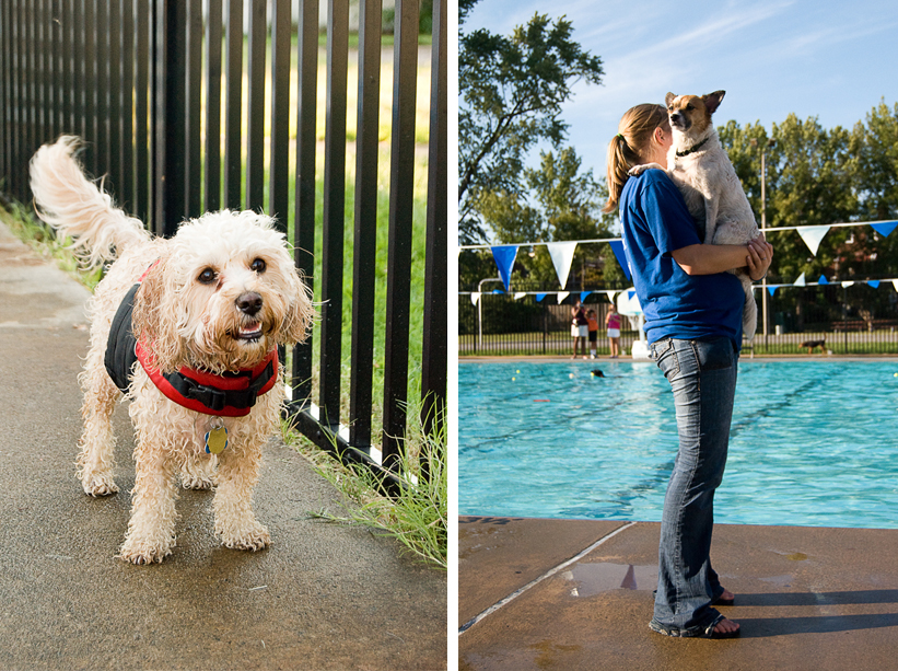 Doggie Day Swim - Old Town Alexandria