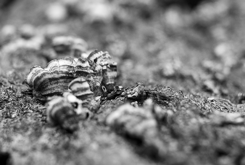20101013_walking_around_0013