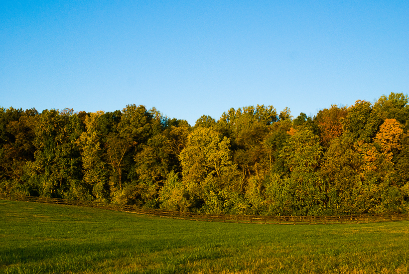 road trip in and around Winchester, Virginia