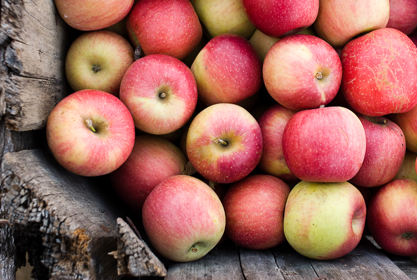 hartland apple orchard virginia