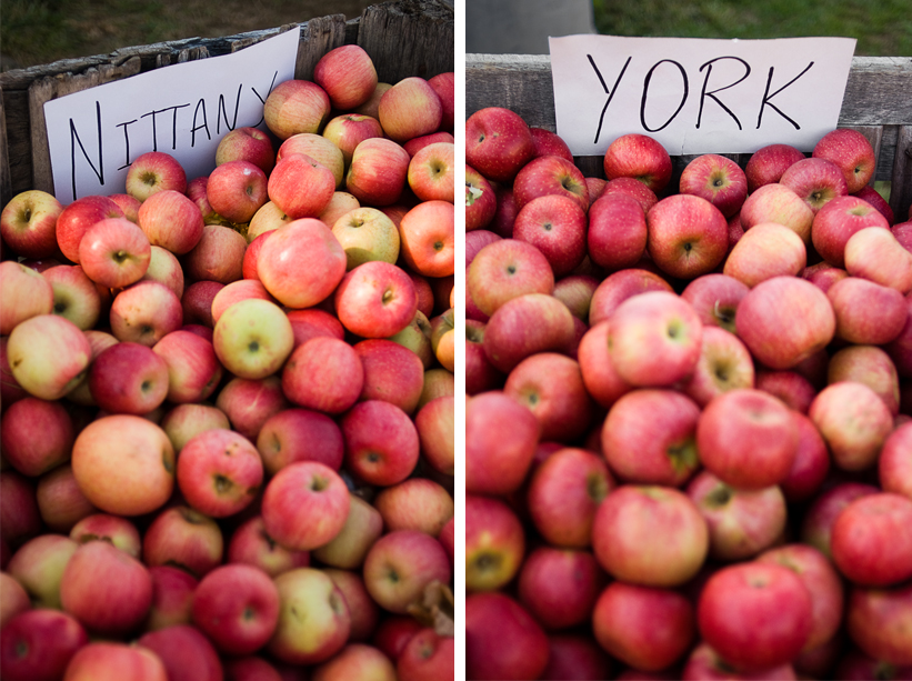 apples_diptych hartland apple orchard virginia