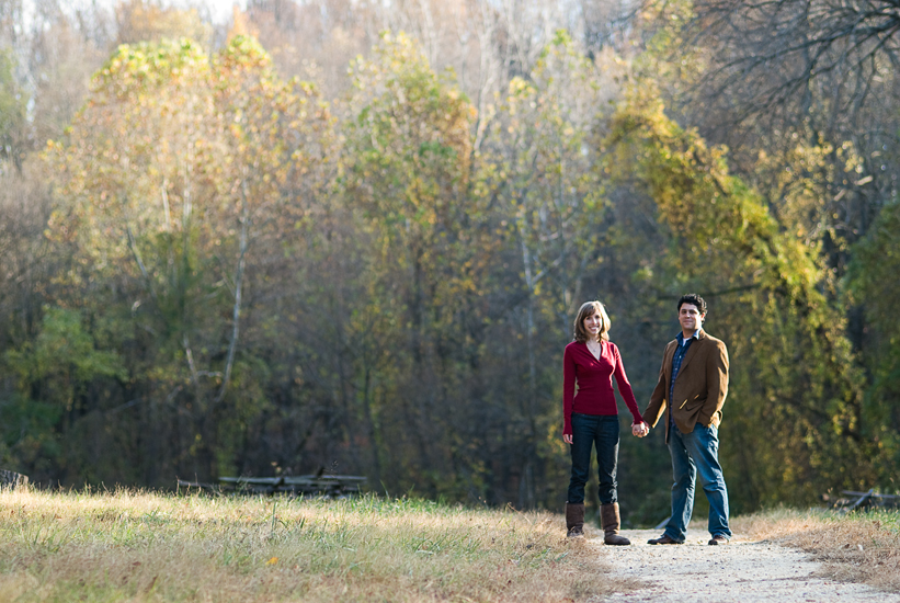 couple holding hands in mclean, va