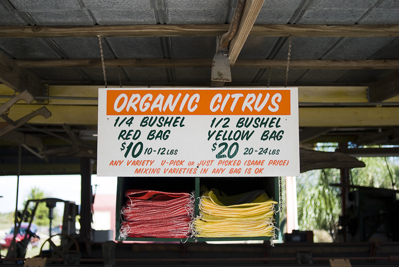 showcase of citrus - oranges, tangerines, etc. in orlando, florida