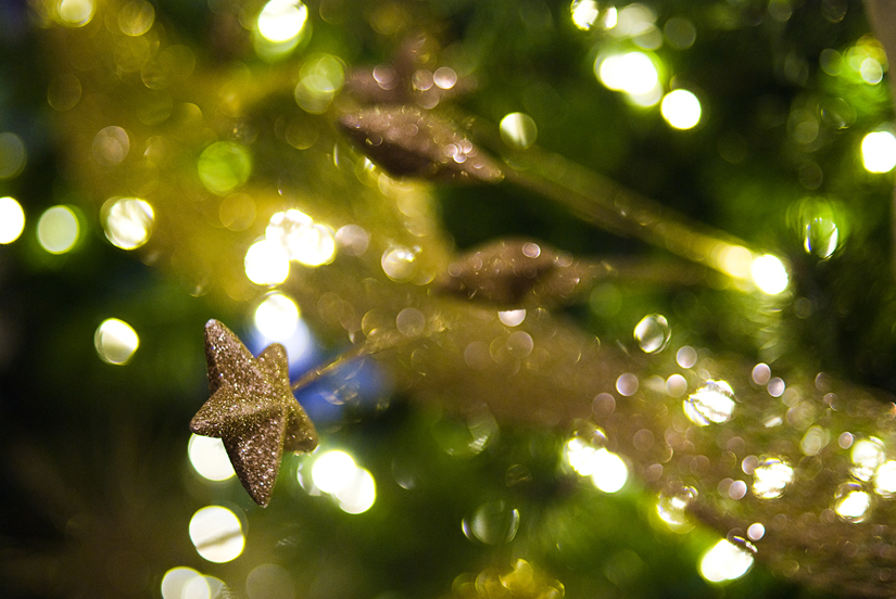 stars on the washington dc christmas tree