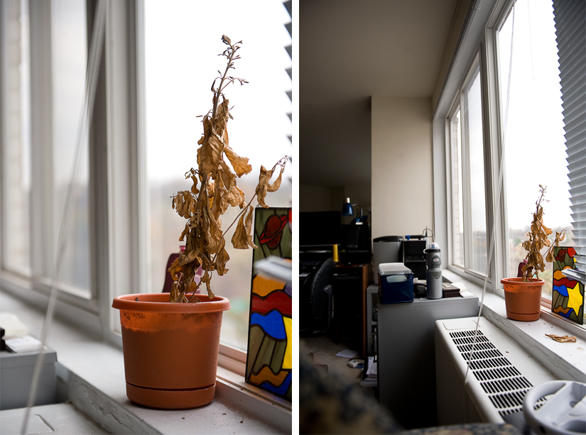 Diptych-Template mm examples