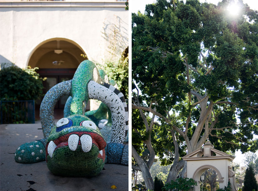 japanese sculpture and large tree in san diego, california