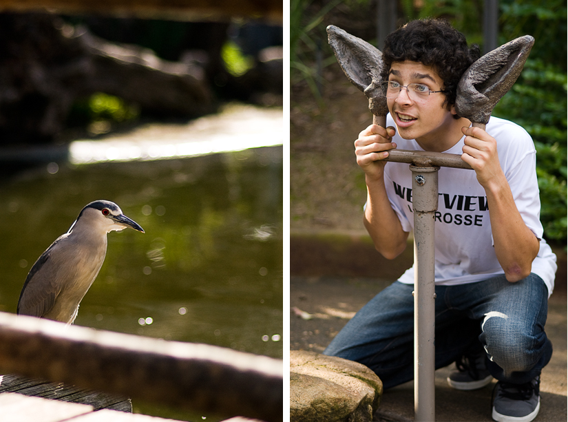 bird and leonard at the san diego zoo's safari park