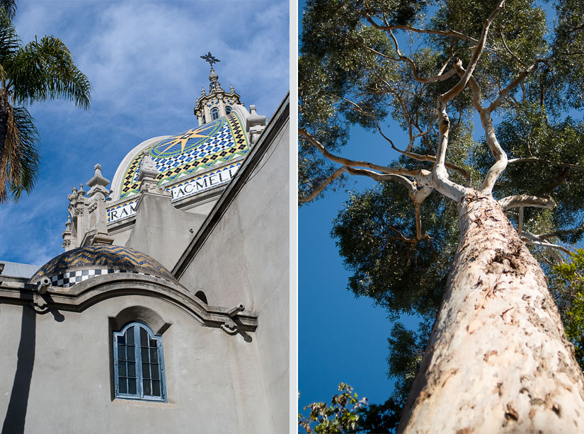 tree_diptych spanish-style architecture in san diego, california