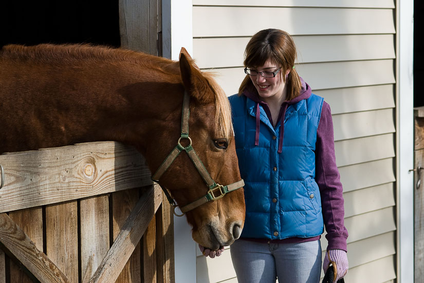 girl feeding her horse