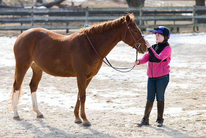 20110116_horses_0099 Folly and Elizabeth (little)