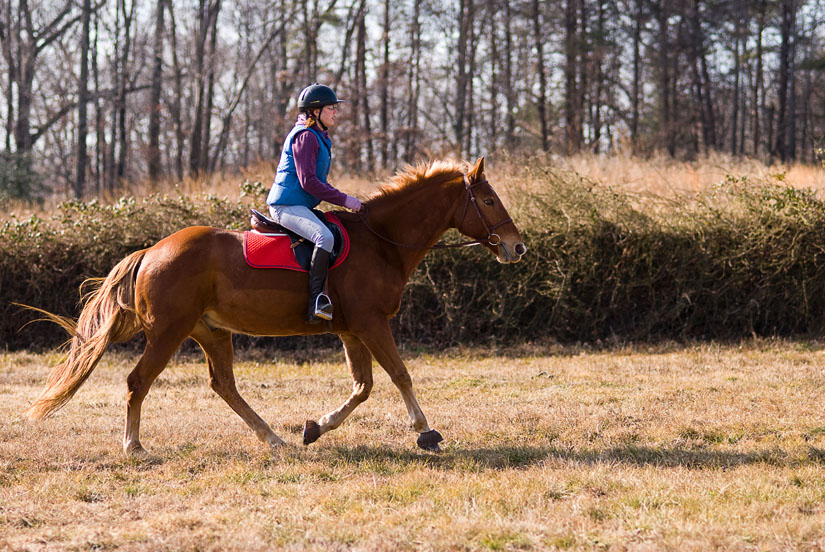 girl riding a horse in a field