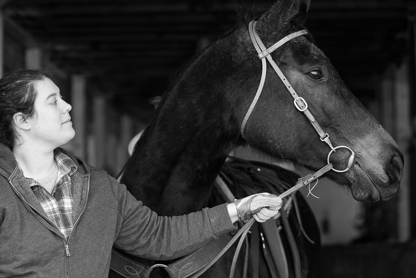 black and white with horse