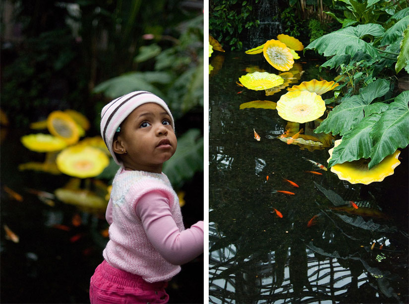 little girl by a pond with yellow flowers