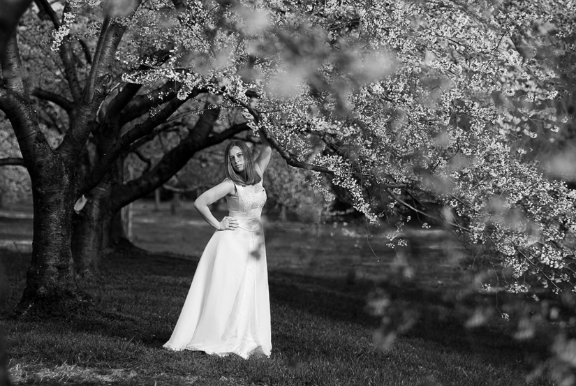 Bride under the cherry blossom trees
