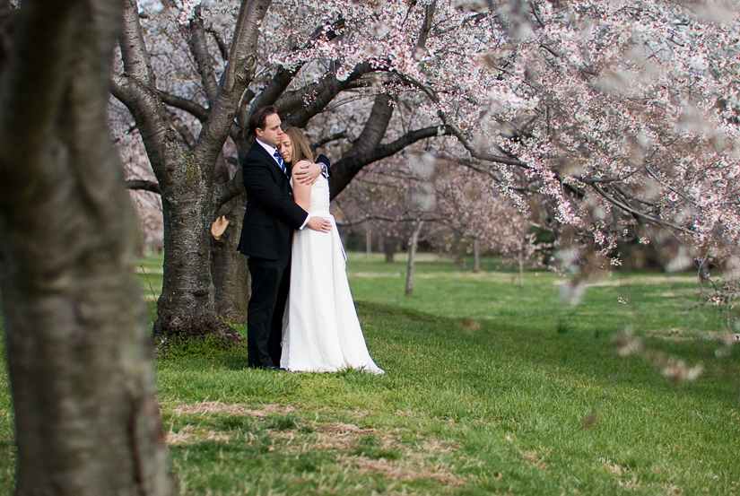 bride and groom under the cherry blossoms