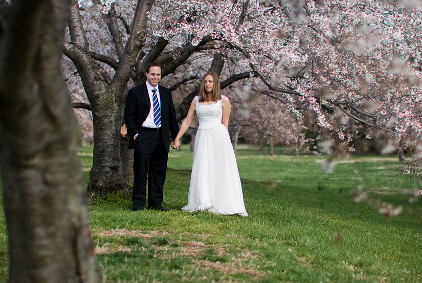 cherry blossom bridal session