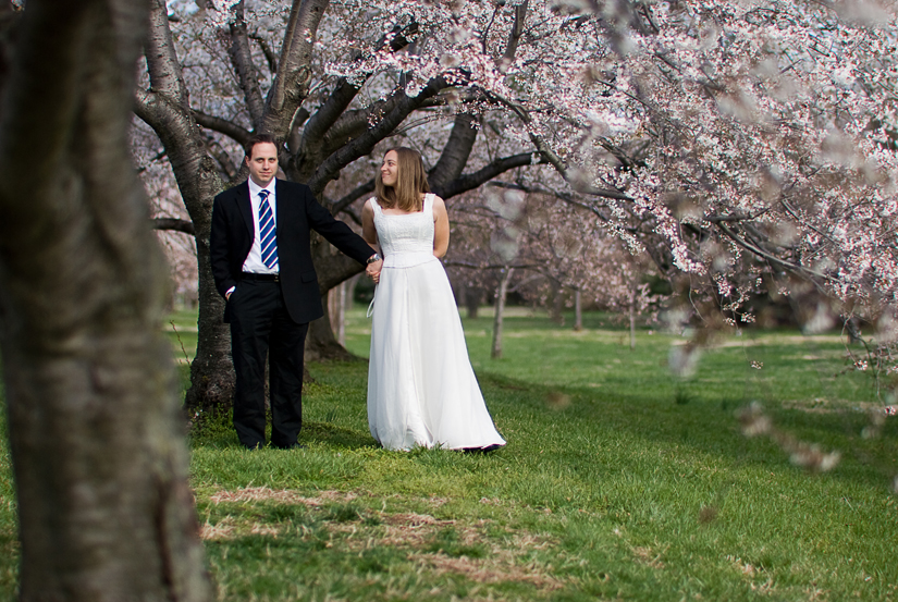 cherry blossoms at hains point - bride and groom