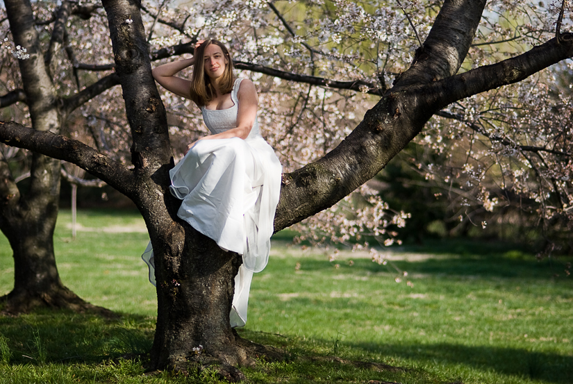 20110327_cherry_blossom_bridal_0109 Arlington wedding photographer