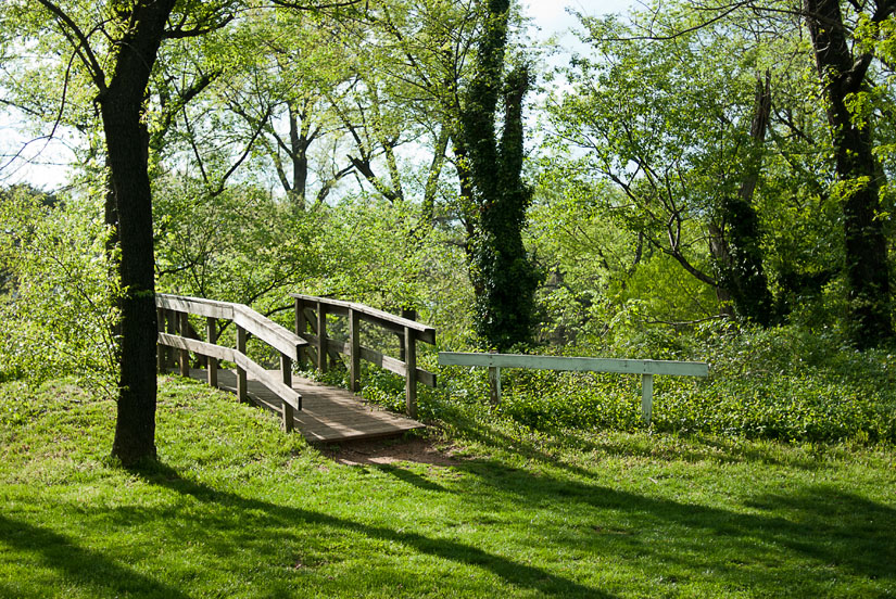 little wooden path in alexandria, va