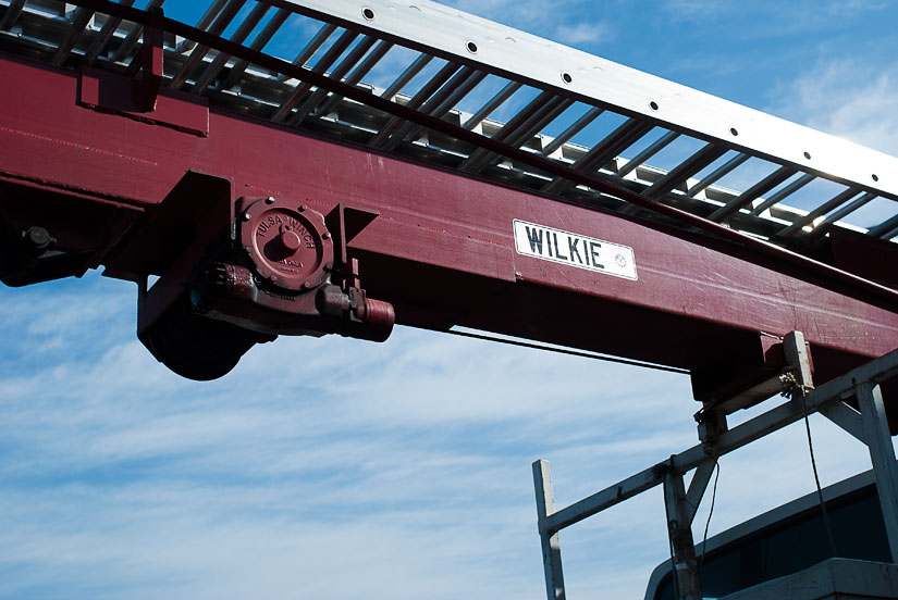 wilkie on a truck