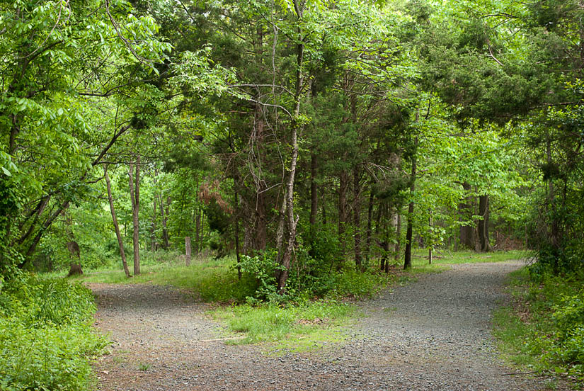 trail split at mason district park
