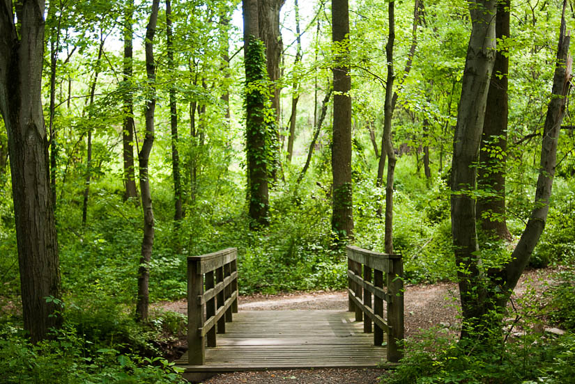 bridge at mason district park