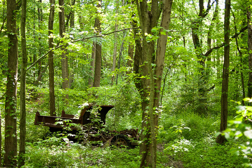 old car in the woods