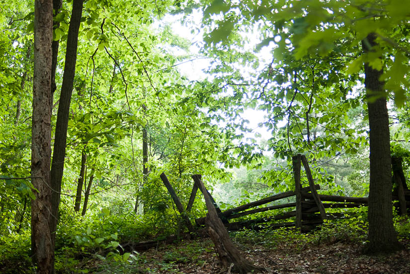 spot for portraits in annandale, va