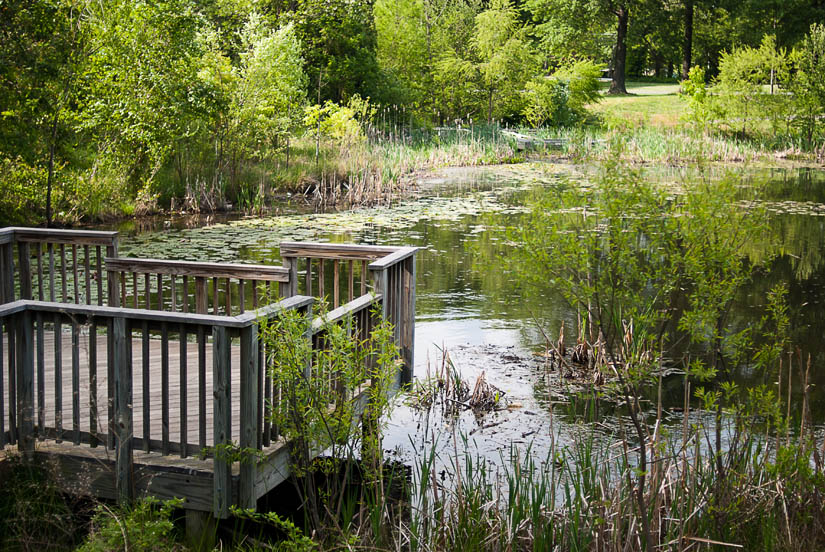 platform over a pond at mason district park