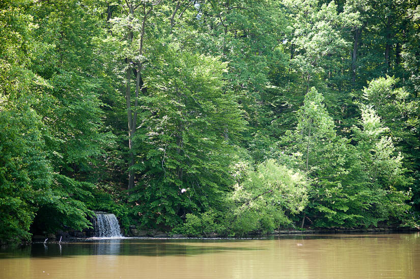 waterfall at winkler botanical reserve