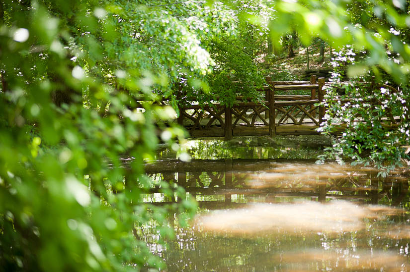 bridge at winkler botanical reserve in alexandria, va