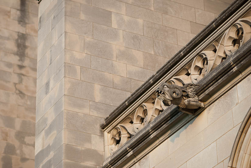 gargoyle at the washington national cathedral