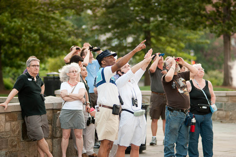 the gargoyle tour group