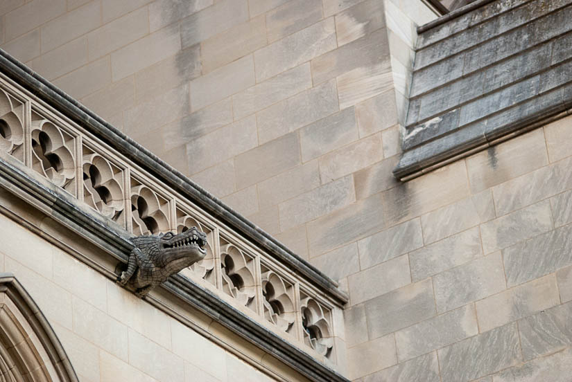 crocodile gargoyle at washington national cathedral