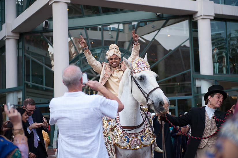 bengali groom comes in on a horse