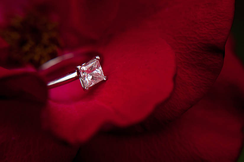 engagement ring on a red flower