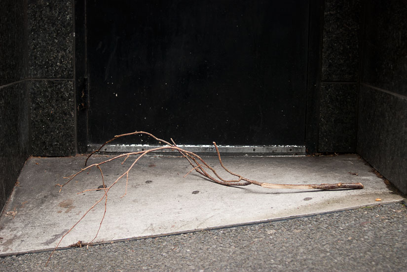 20110619_seattle_0007 stick on the ground in seattle