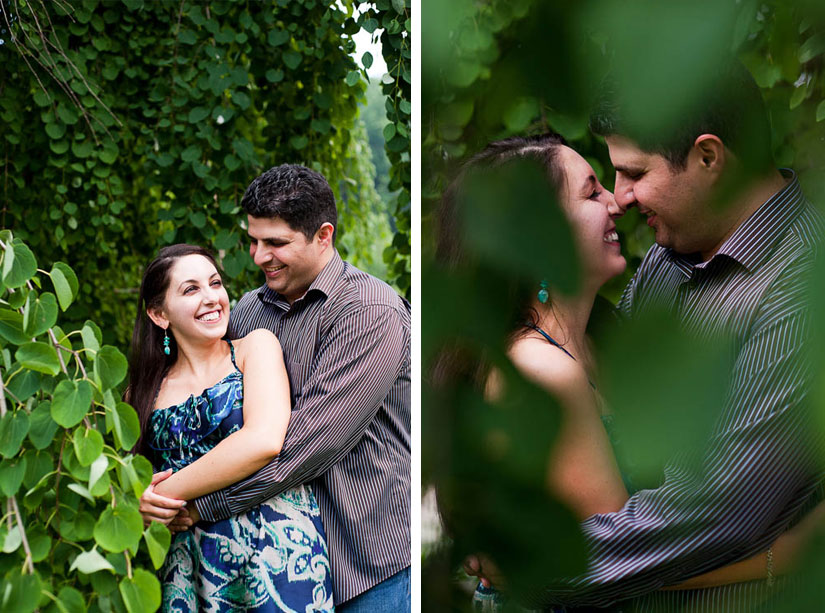 engaged couple in a tree at brookside gardens