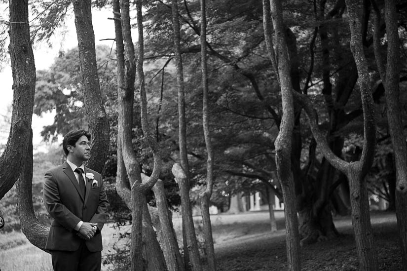 wedding ceremony in the grove at woodend