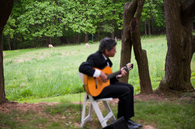 musician and deer at woodend grove