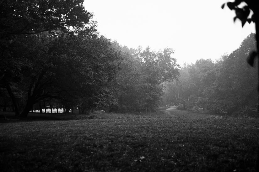 woodend nature sanctuary covered in mist