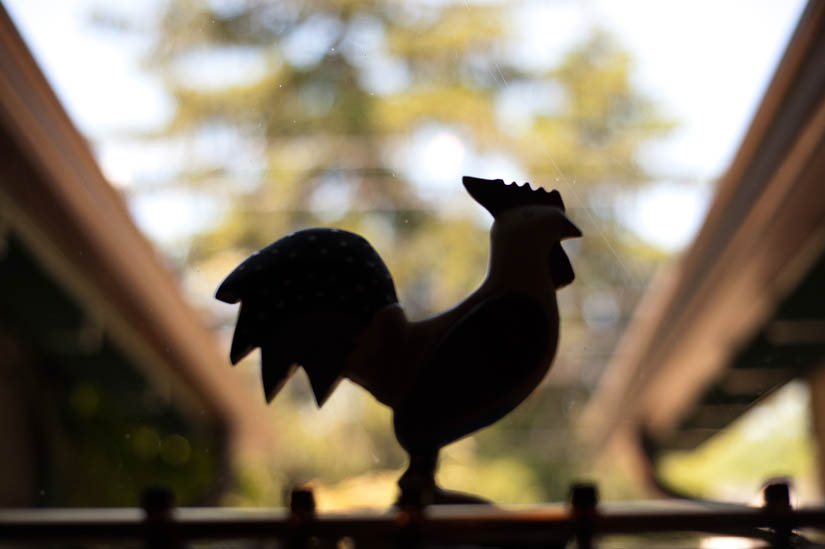 rooster at la ferme restaurant in chevy chase