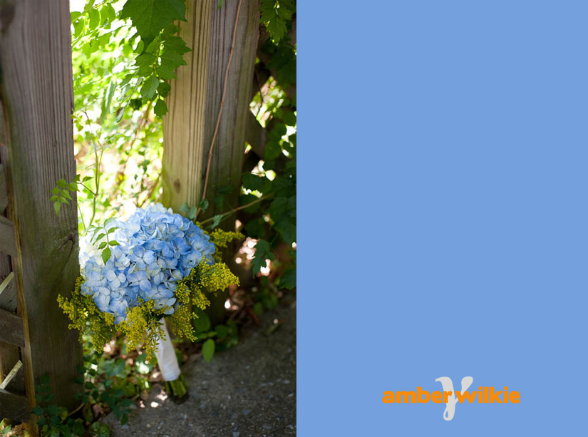 hydrangea bouquet