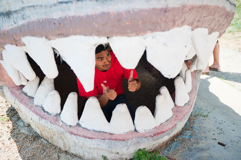 sai in a shark's mouth at dinosaur land