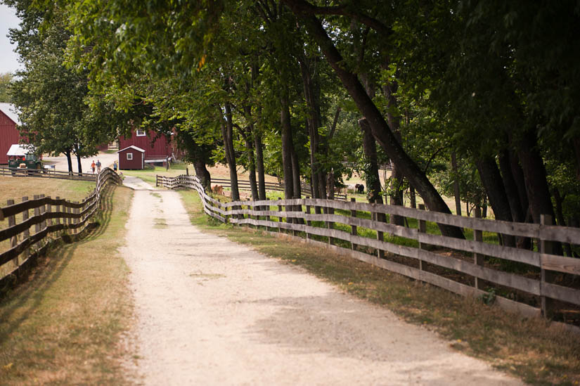 nice place for portrait at oxon hill farm